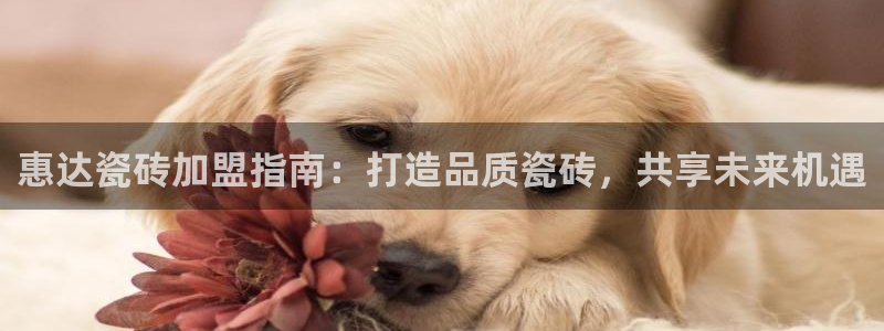 华润娱乐董判官21