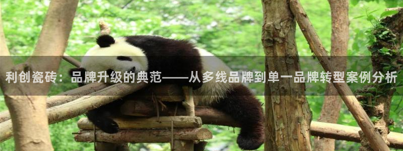 华润娱乐首荐46996