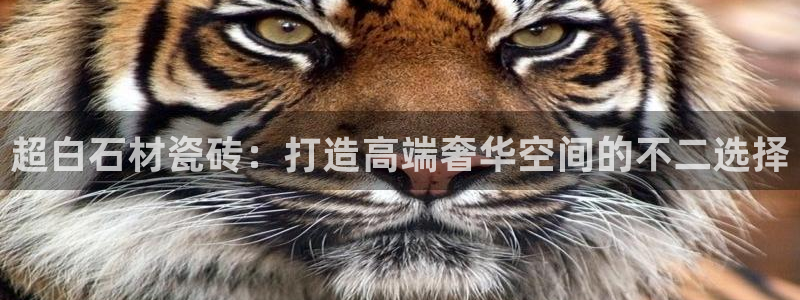 华润娱乐贡122222