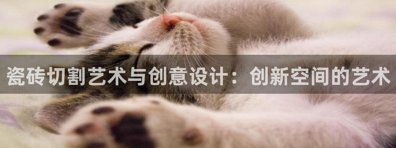 华润集团娱乐公司官网