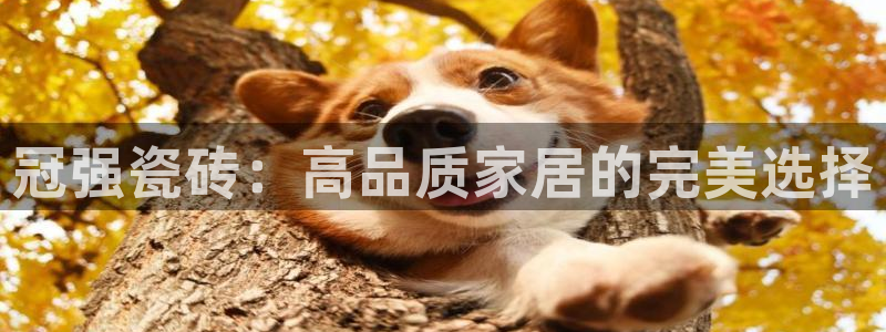 华润娱乐贴吧官网