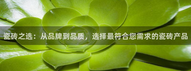 华润2娱乐qv382223