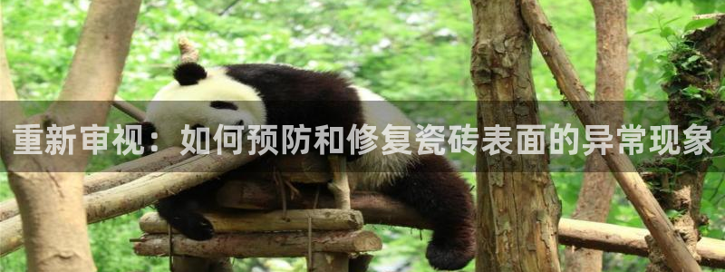 华润集团娱乐公司官网