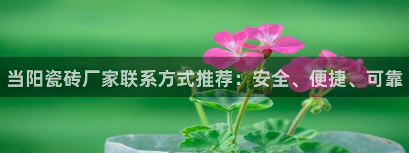 华润娱乐总代