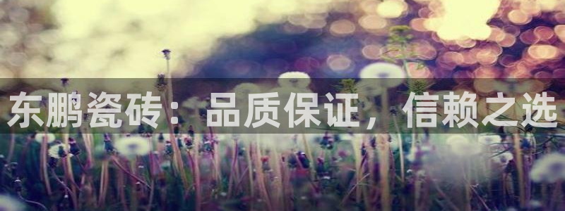华润娱乐app
