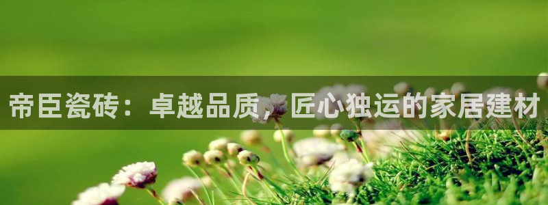 华润娱乐棋牌