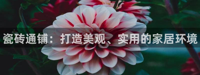 华润娱乐app